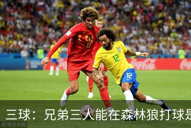 三球：兄弟三人能在森林狼打球是梦想成真 到时让大球打控卫