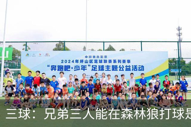 三球：兄弟三人能在森林狼打球是梦想成真 到时让大球打控卫