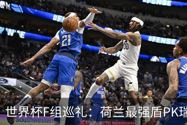 世界杯F组巡礼：荷兰最强盾PK瑞典犀利刀 日本短板明显