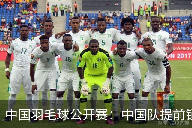 中国羽毛球公开赛：中国队提前锁定混双冠军