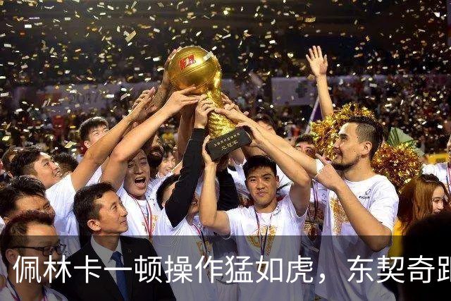 佩林卡一顿操作猛如虎，东契奇距离终生无冠再进一步