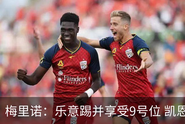 梅里诺：乐意踢并享受9号位 凯恩与我风格相似2优1劣