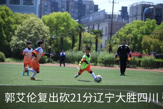 郭艾伦复出砍21分辽宁大胜四川 张镇麟24+11+8